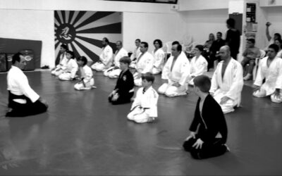 ¿Qué diferencia hay en entrenar en una academia marcial y tener un entrenador personal de artes marciales?
